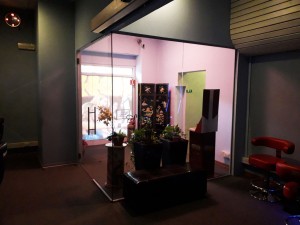 prte vetro va e vieni cerniere battenti locale pubblico vetrate bussola vetra vetrate artistiche pordenone veneto friuli venezia giulia padova udine treviso (10)  